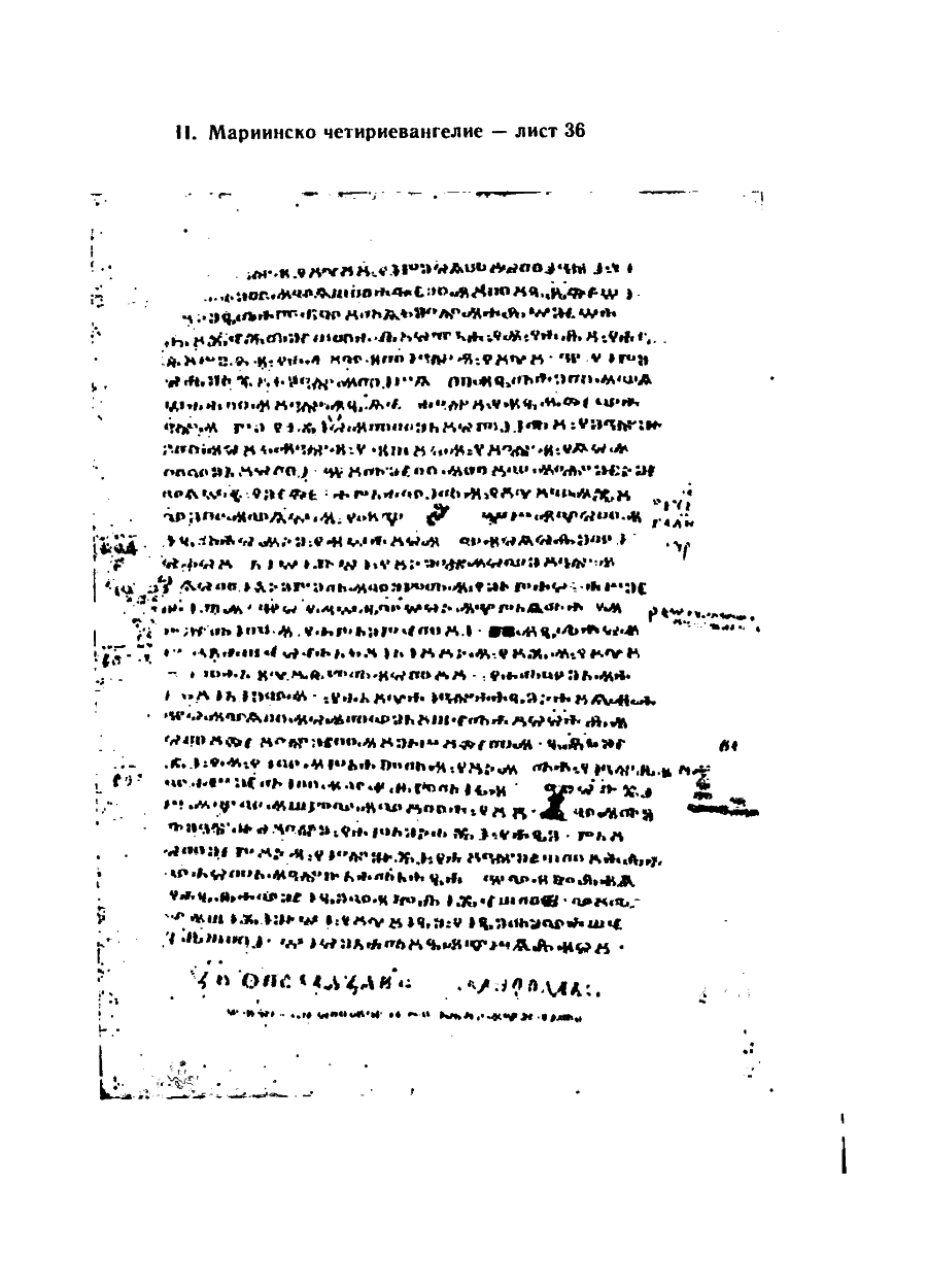 stojanov janakiev 247